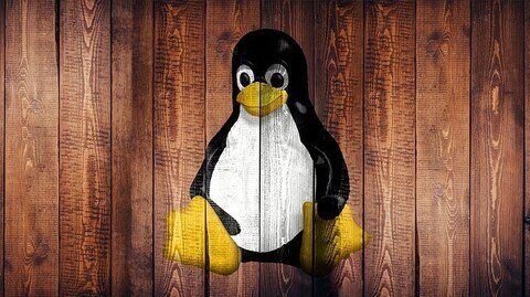 "Unveiling Vulnerabilities: Who or What is at Risk from Shellshock?"