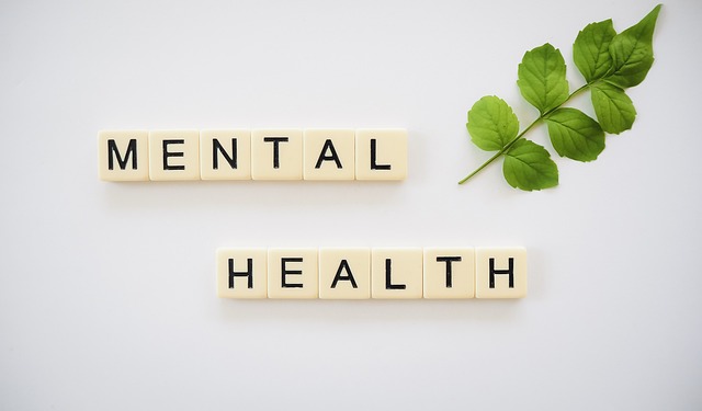 Explore the captivating connection between weather and mental health, focusing on a specific weather phenomenon. Delve into this insightful blog post to understand the profound influence of weather on our well-being, as we unravel a unique correlation affecting our mental health.