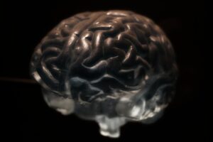 Brain tumors: Essential facts to grasp