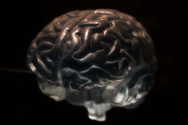 Brain tumors: Essential facts to grasp