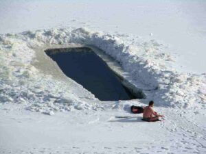 A group of people jumping into icy cold water during a polar bear plunge event.