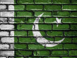 Alt Text: Malik - A new Pakistani movie.