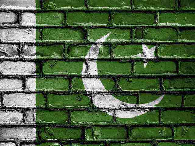 Alt Text: Malik - A new Pakistani movie.