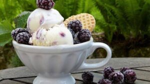 Blue Bell issues ice cream recall due to Listeria concerns, prioritizing consumer safety. Stay informed on the latest updates regarding this recall and ensure your well-being.