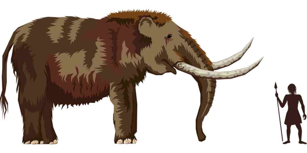 Characters from the Ice Age movie franchise.