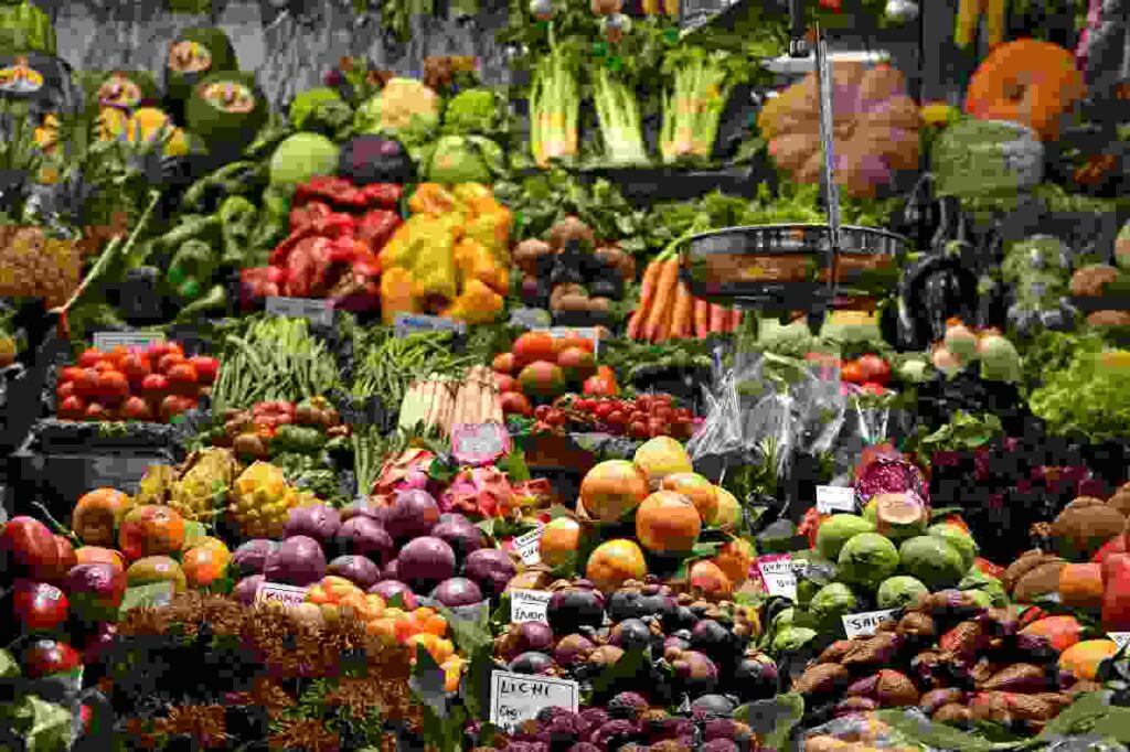 Assorted healthy and colorful foods representing nutrition.