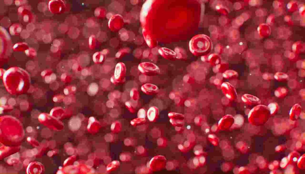 Anemia causes, symptoms, and types
