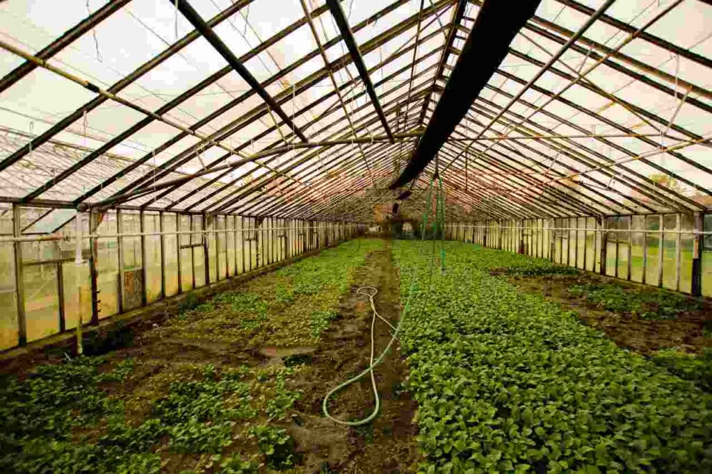 Illustration depicting the greenhouse effect.