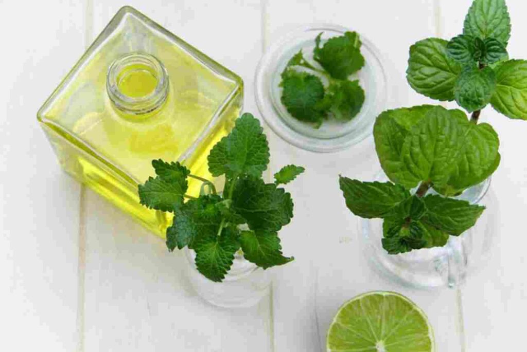 "Discover the Health Benefits of Essential Oils - Aromatic and Natural Solutions for Wellness"