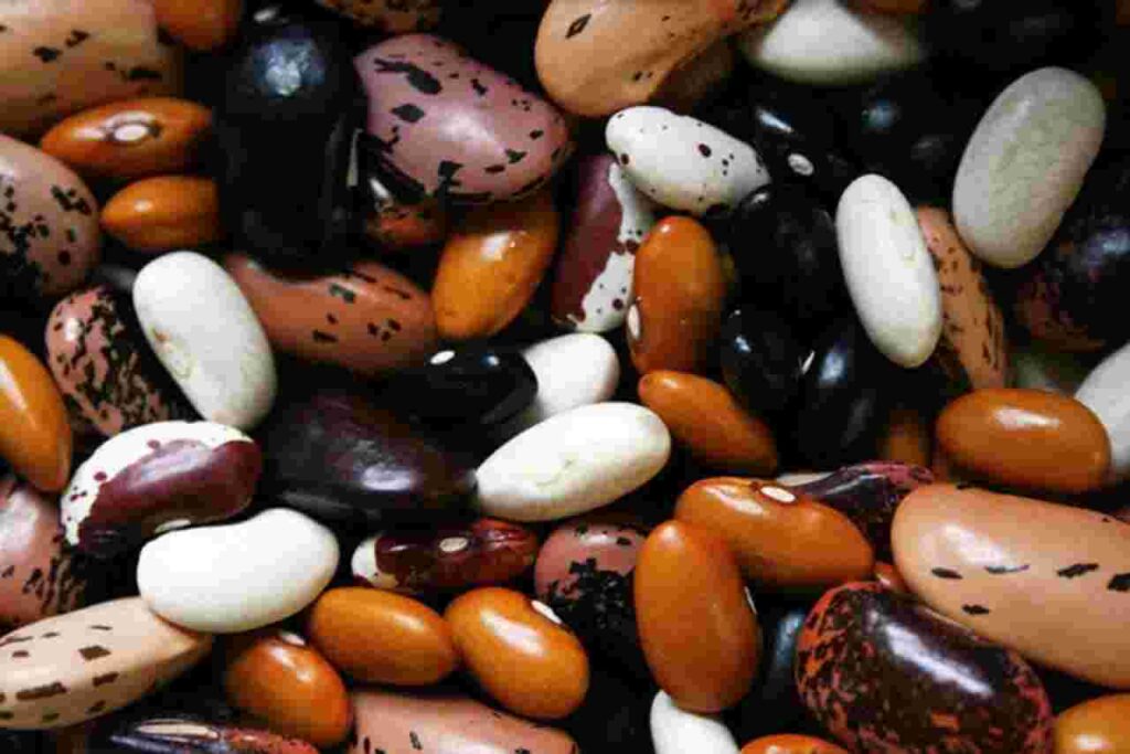 "Variety of healthy beans in a wooden bowl."