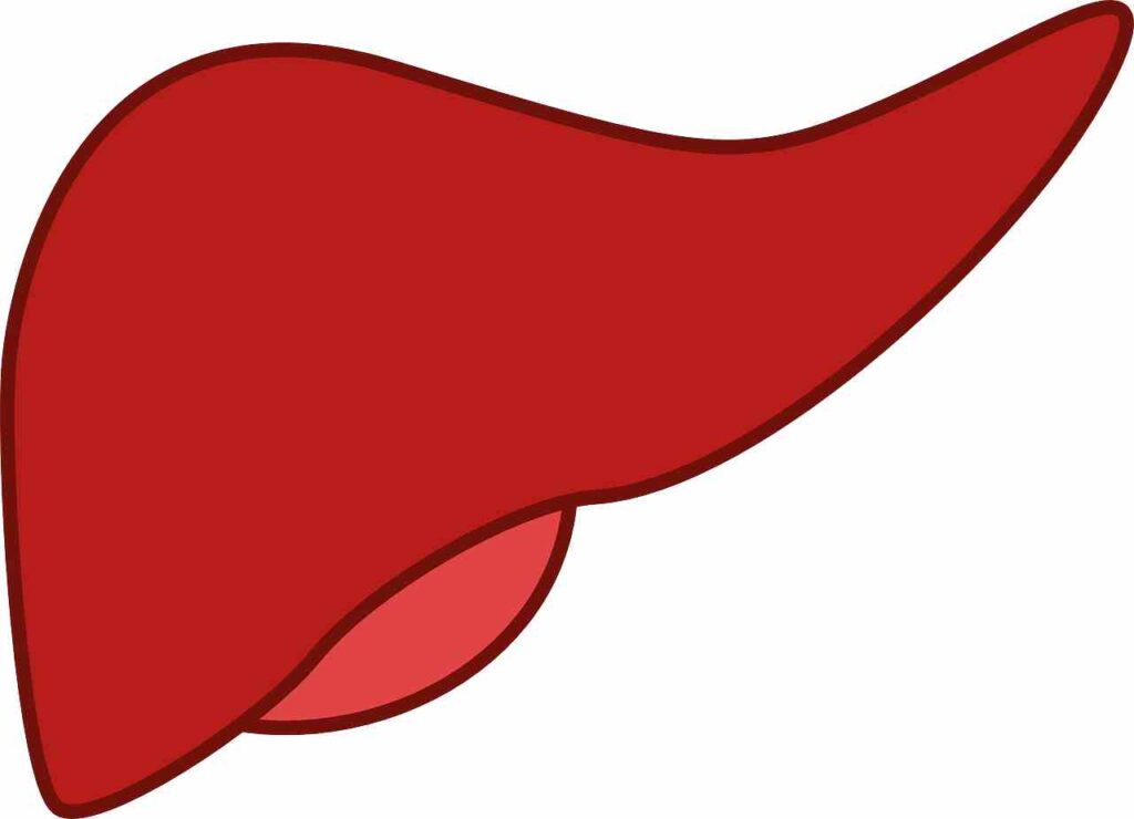 Fresh fruits, vegetables, and water, key components for a healthy liver.