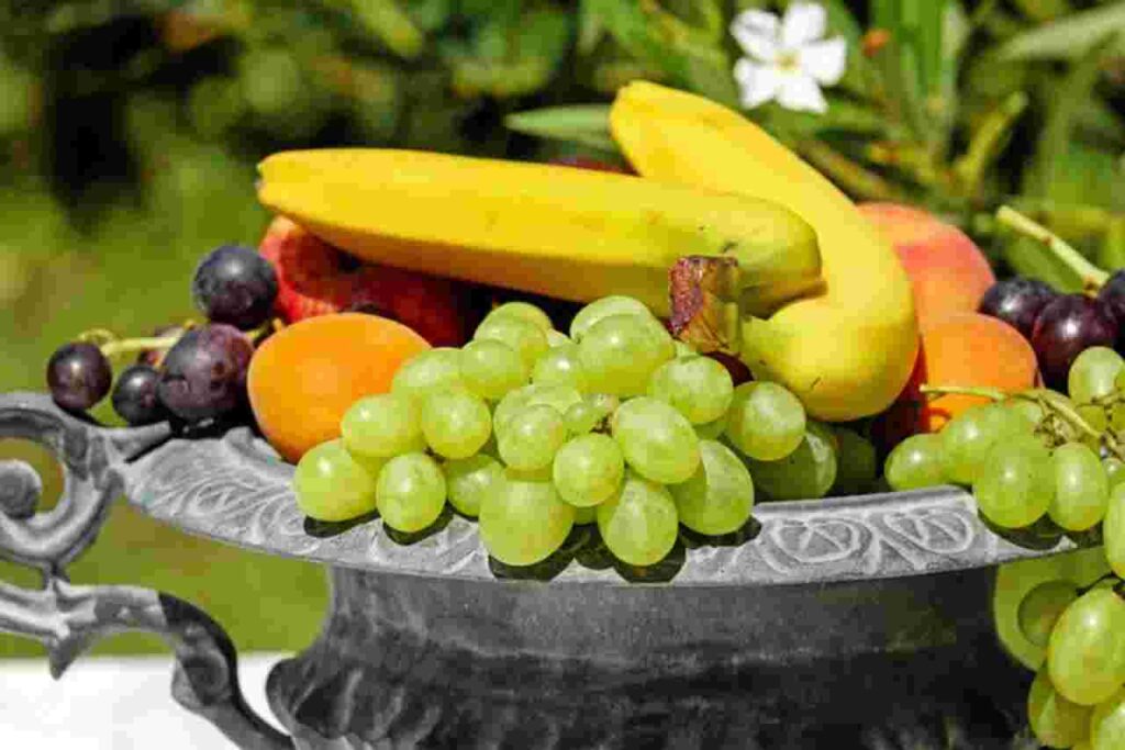 "Collage of 19 anti-aging fruits: Discover their natural benefits."