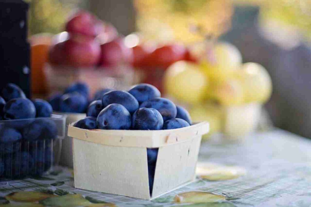 "Collage of 19 anti-aging fruits: Discover their natural benefits."
