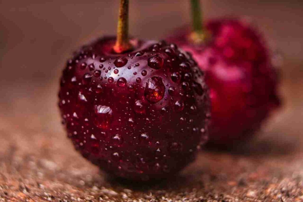 "Collage of 19 anti-aging fruits: Discover their natural benefits."