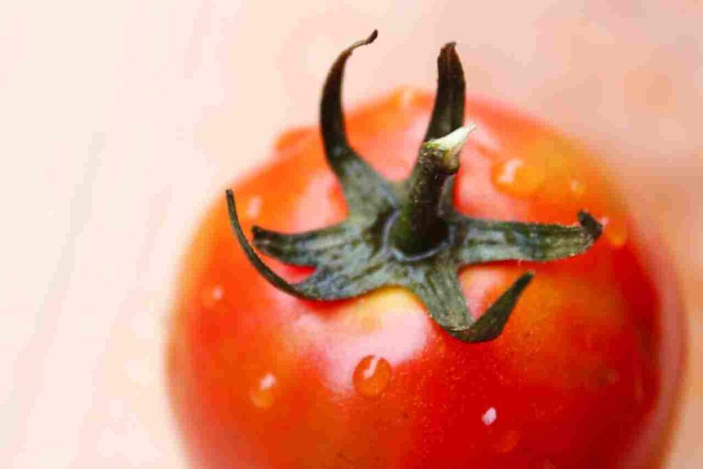 "Visual representation of the Pomodoro Technique and its productivity benefits."