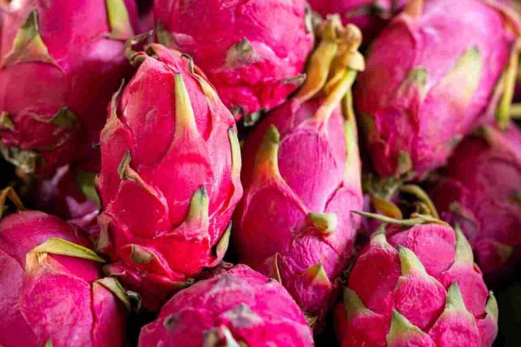 "Vibrant dragon fruit slices - Beauty and nutrition in one fruit."