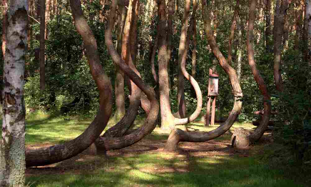 Mysterious and unique natural landscapes.