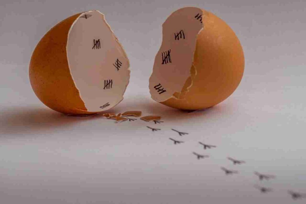 "Eggshell Health Benefits"
