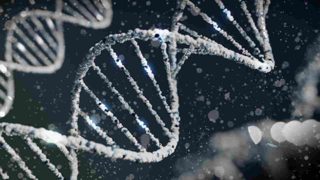 Image of DNA double helix symbolizing Epigenetics and Evolution in the context of Sexual Orientation.
