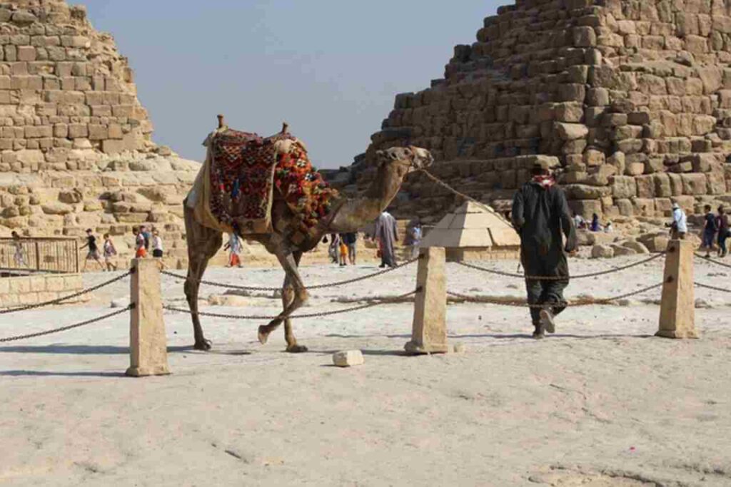 Awe-inspiring Egyptian Pyramids standing tall against a clear blue sky, showcasing the ancient architectural wonders of Egypt
