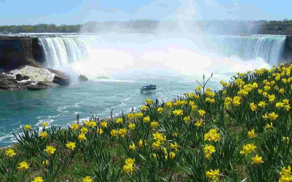 "Niagara Falls - Nature's Majesty"