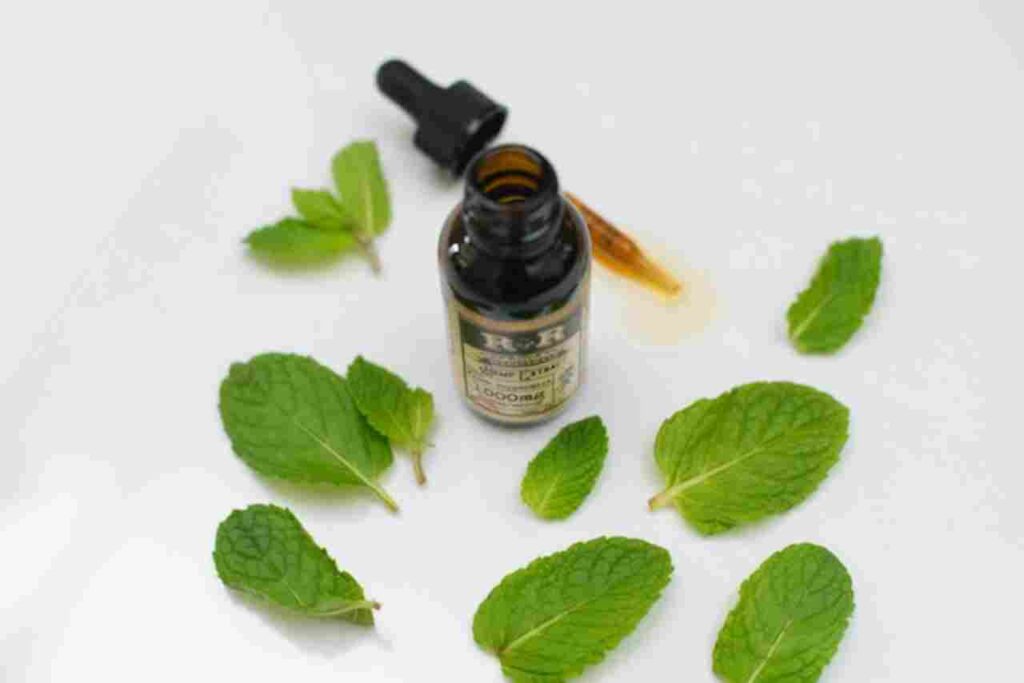 Image of peppermint leaves and essential oil bottle representing peppermint oil's health benefits.