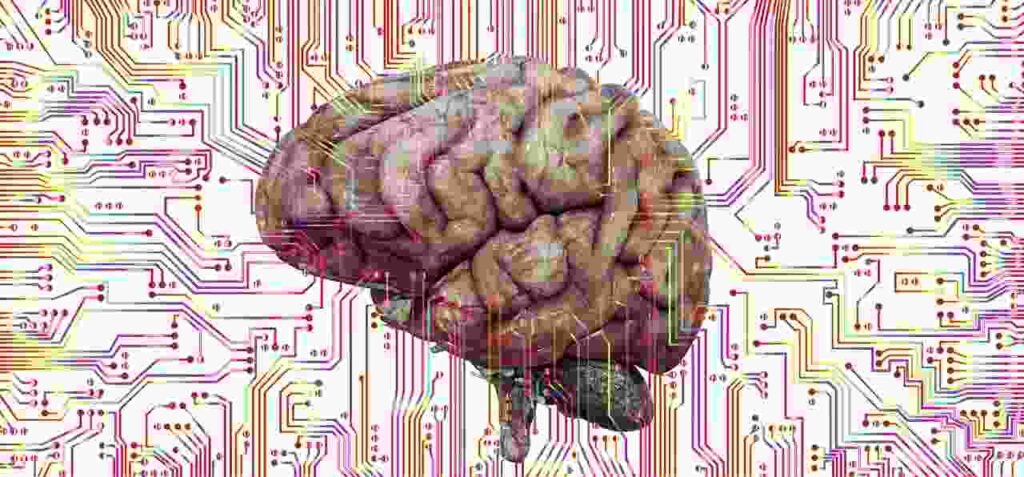 Neuroplasticity: The Brain's Remarkable Adaptive Ability