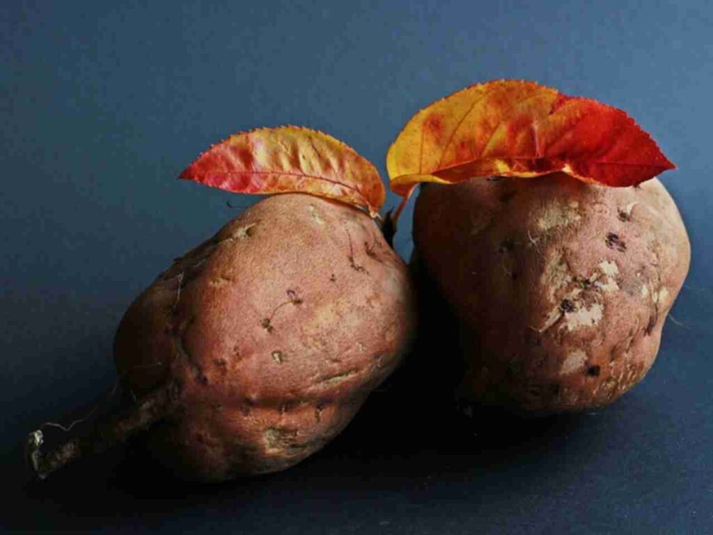 "A colorful plate of roasted sweet potatoes."