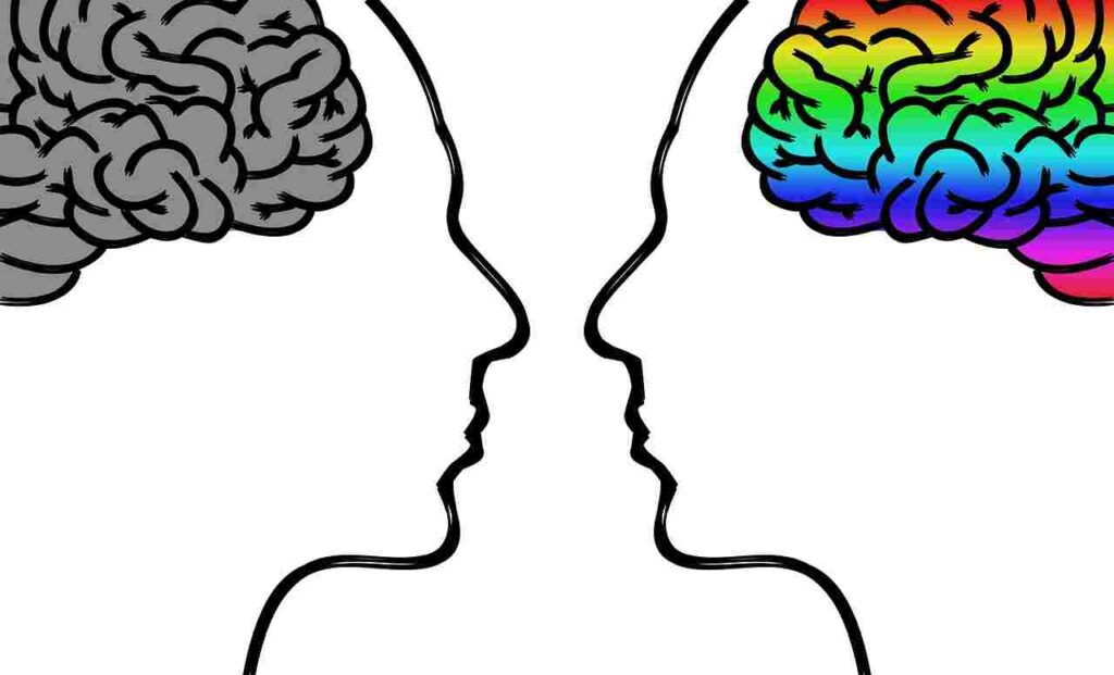 Brain fog concept with foggy brain illustration.