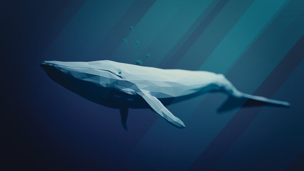 Explore the fascinating world of blue whales, the largest creatures to have ever existed.