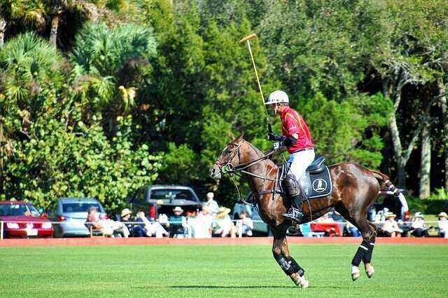 Polo players in action during the Sport of Kings
