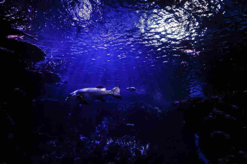 The Mariana Trench: Earth's Deepest Point, Majestic and Powerful.