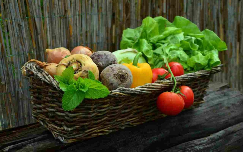 "Minerals and Your Health"