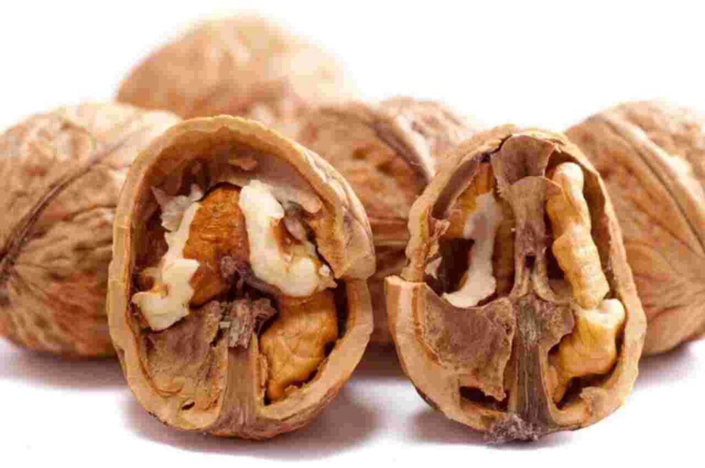 "Bowl of soaked walnuts."
