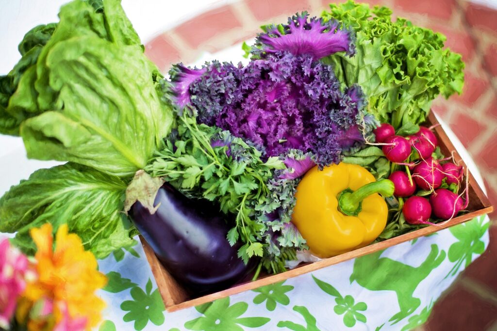 A colorful assortment of fresh vegetables, a power-packed addition to your diet.