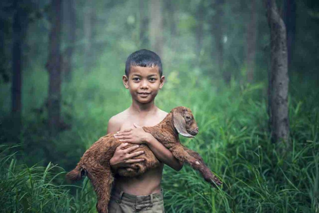 "Exploring the largest goat breeds worldwide."
