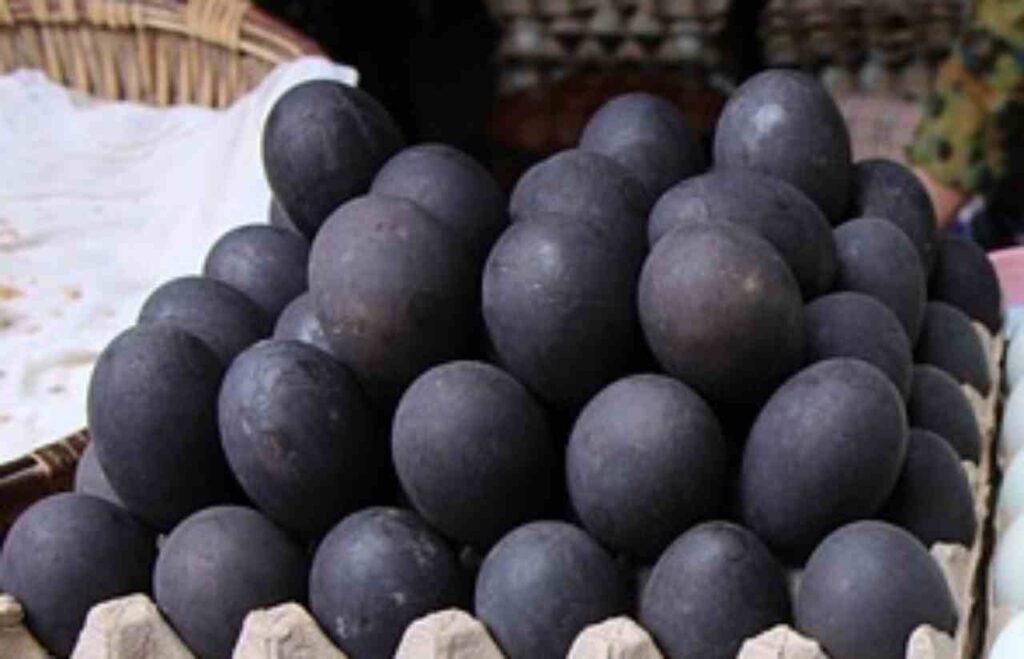 "Ayam Cemani eggs"