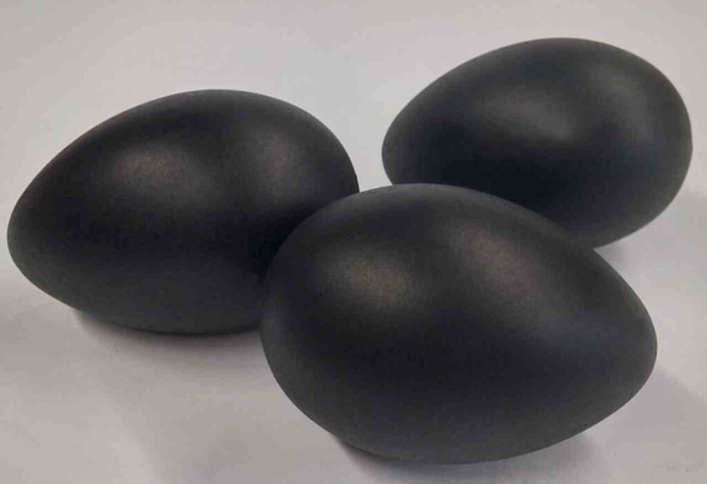 "Ayam Cemani eggs"