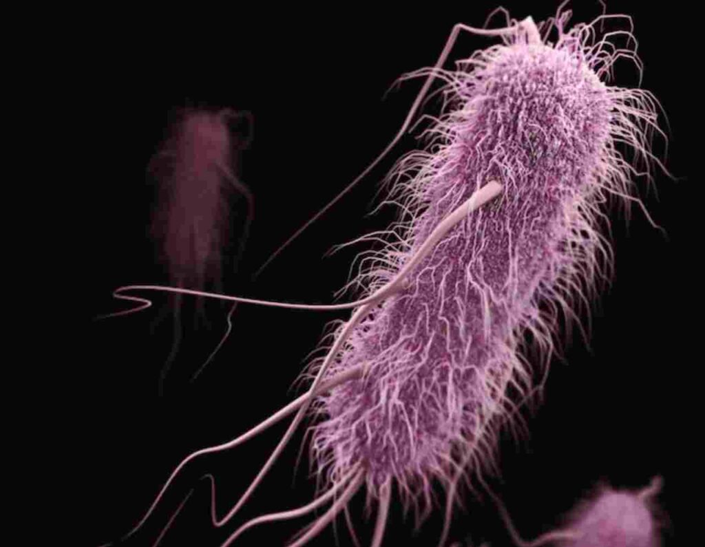 "Image depicting a researcher in a lab, symbolizing the fight against superbugs and antibiotic resistance."