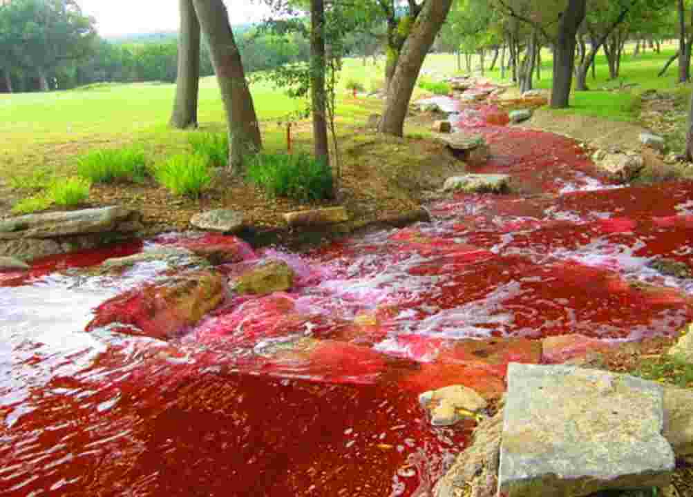 "Blood River, Russia"