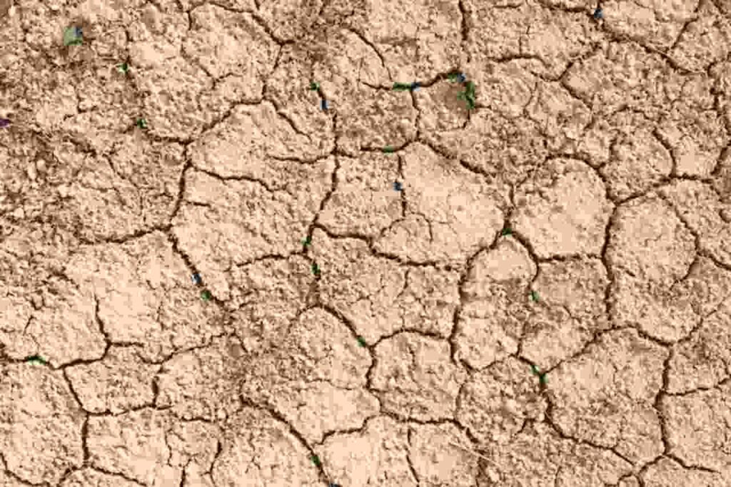 "El Niño Weather Phenomenon"