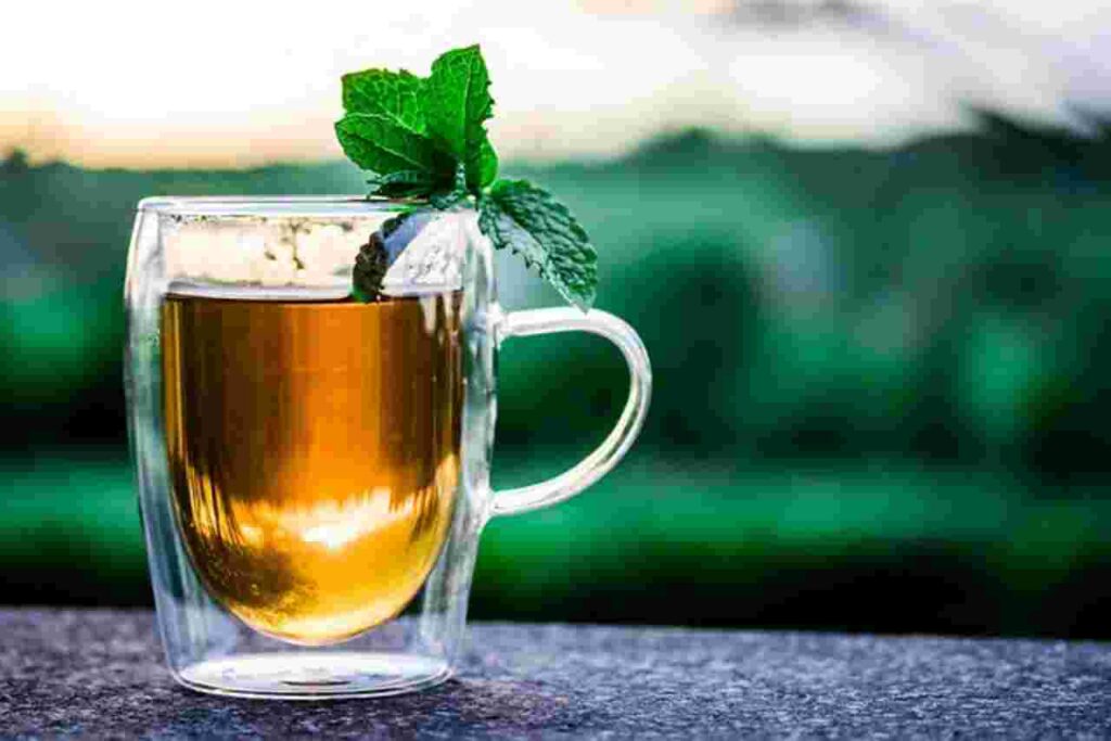 "Digestion-Boosting Fermented Foods and Drinks"