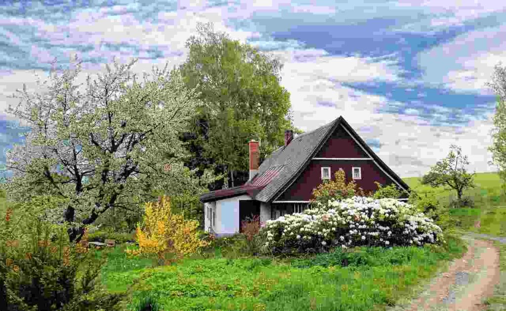 Vibrant gardening: Blooming flowers, lush plants, and green landscapes.