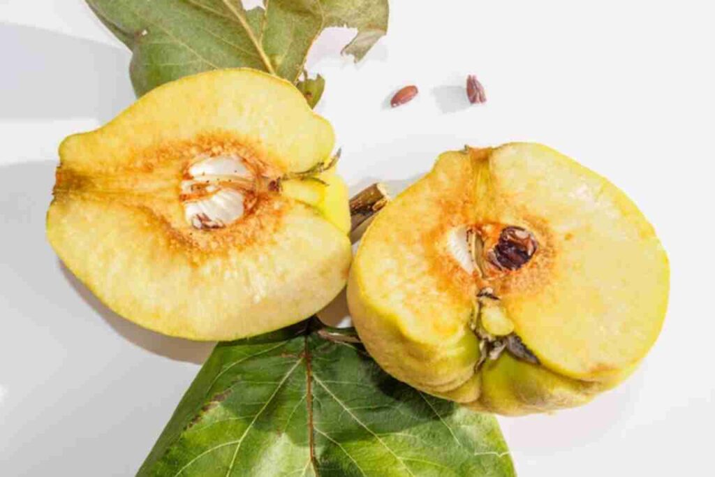 "Vitamin E's health benefits revealed."