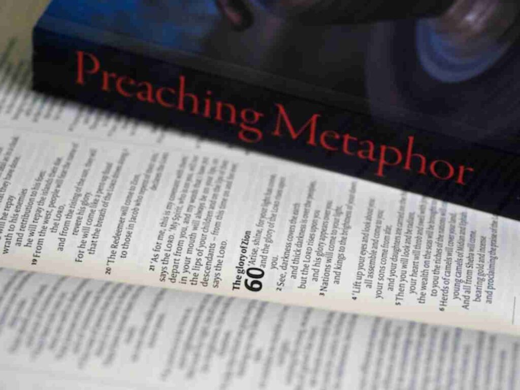 "Metaphors for Growth Explained"