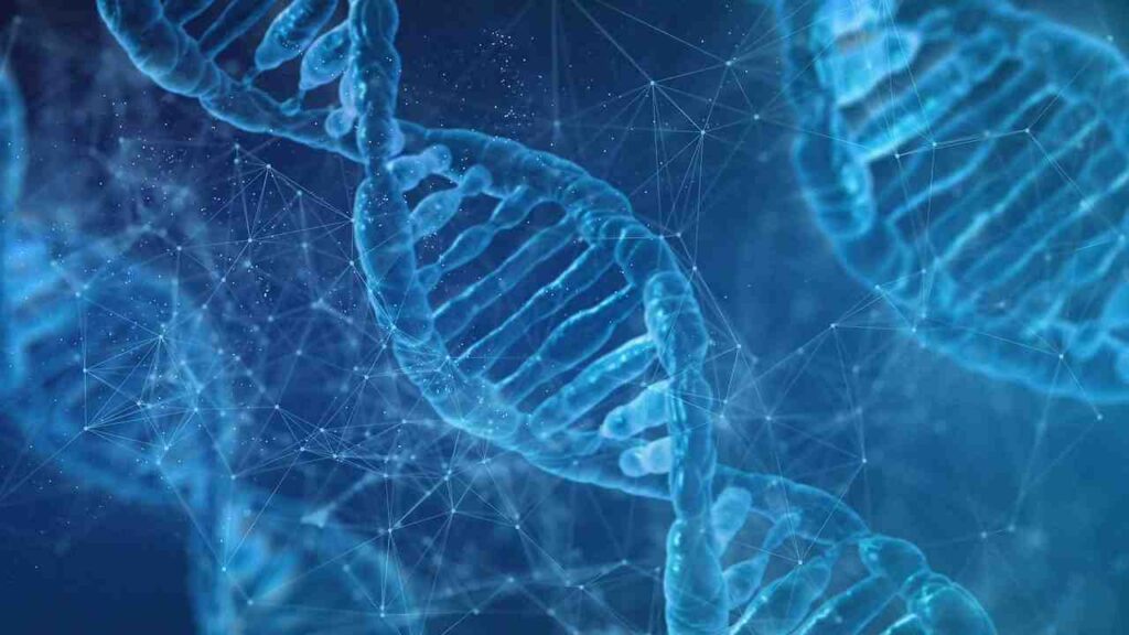 "Deoxyribonucleic acid molecule illustration."