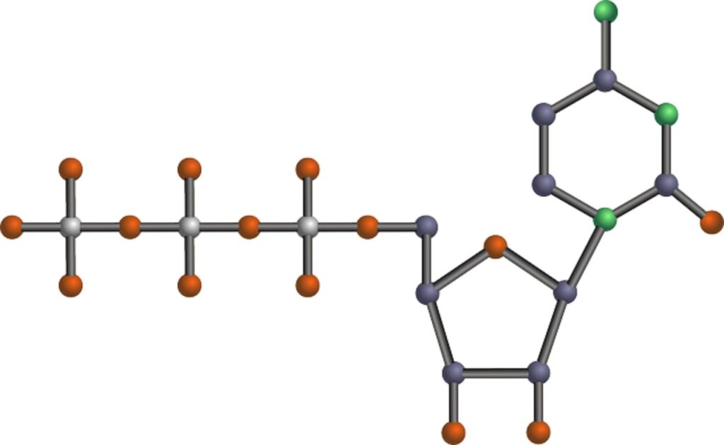 "DNA molecule illustration."