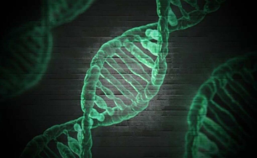 "DNA molecule illustration."