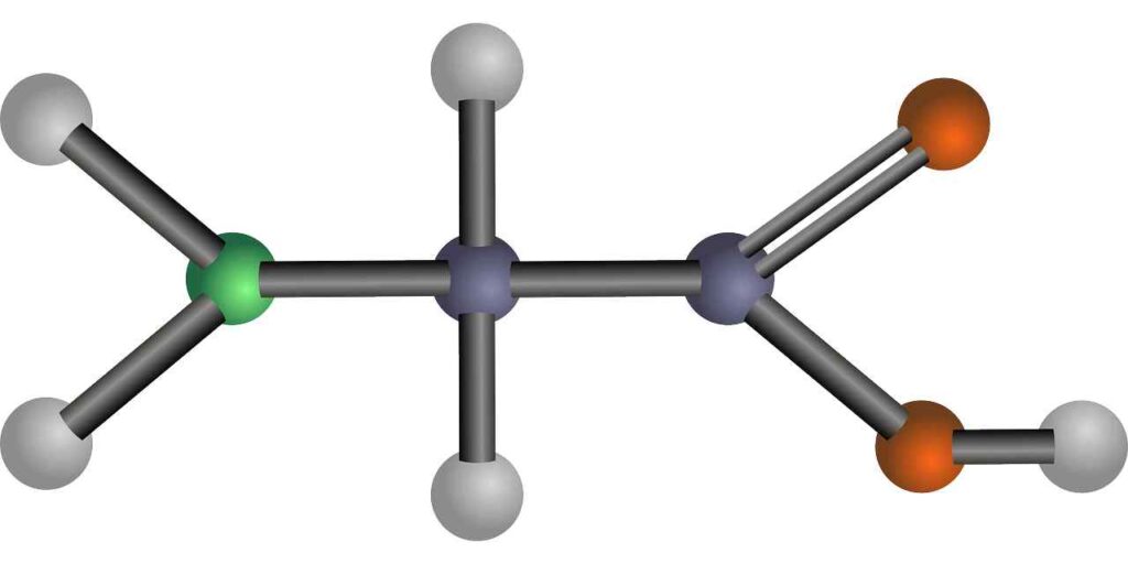 Amino acids structure illustration showcasing diversity.