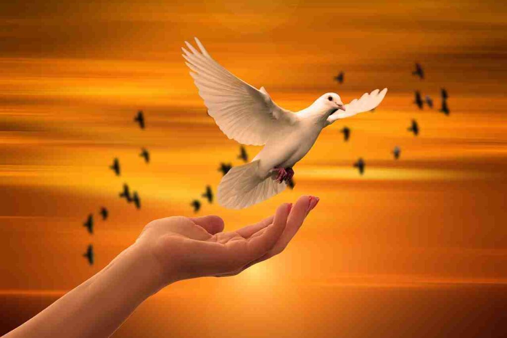 Discover the transformative journey of powerful soul connections – a profound exploration of deep bonds and meaningful relationships.